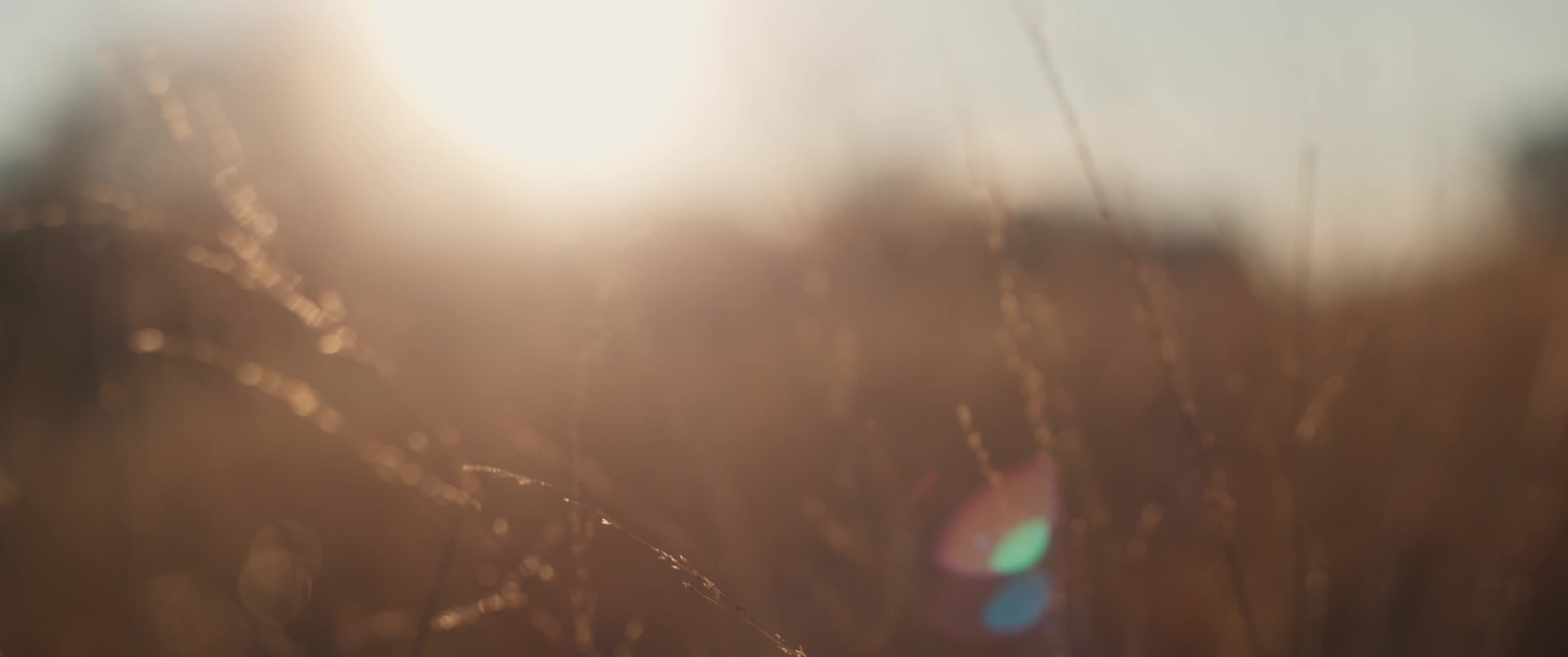 门东源邸影片中的湖面与夕阳